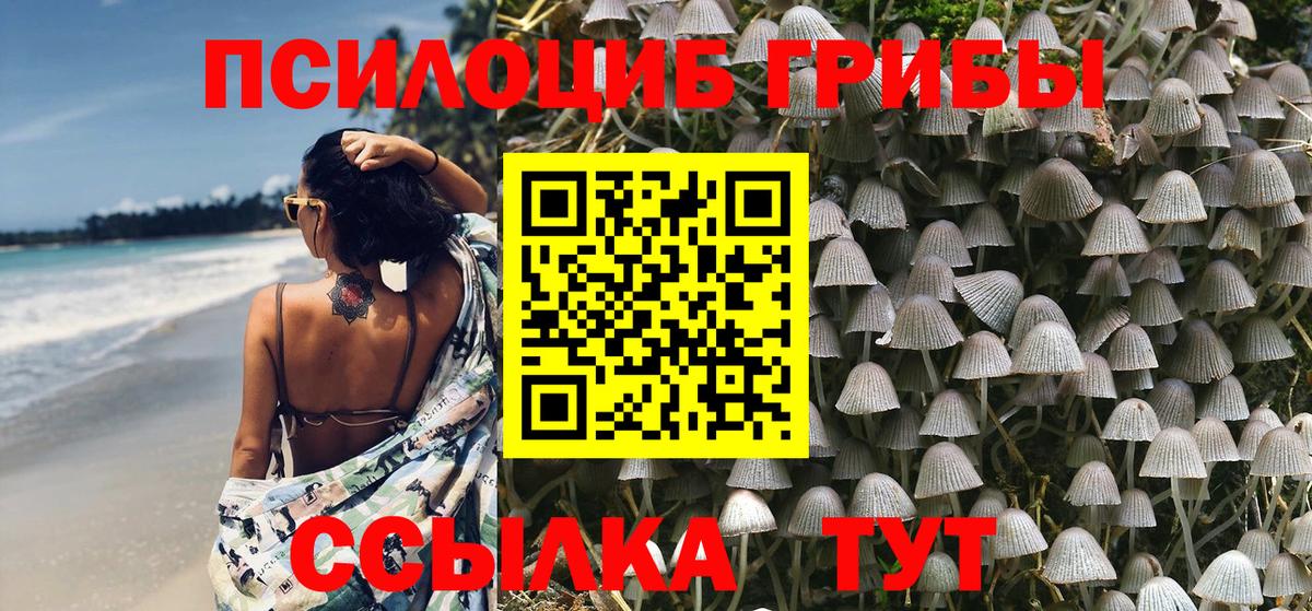 Псилоцибиновые грибы мухоморы Кубинка