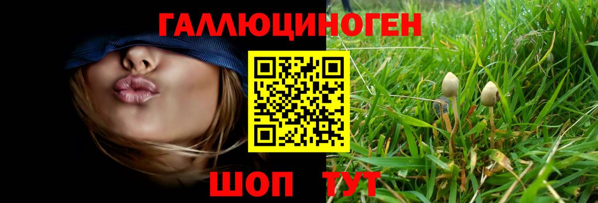 Псилоцибиновые грибы GOLDEN TEACHER  Вход с VPN  Кубинка 